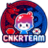 CNKRTEAM
